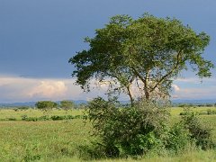 Uganda Oct2011 467